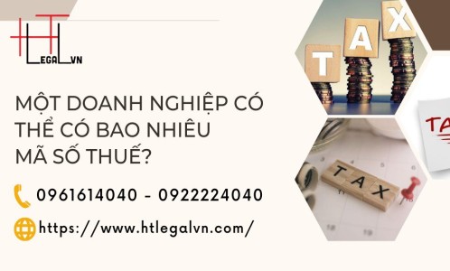 MỘT DOANH NGHIỆP CÓ THỂ CÓ BAO NHIÊU MÃ SỐ THUẾ? (CÔNG TY LUẬT UY TÍN TẠI QUẬN BÌNH THẠNH, TÂN BÌNH THÀNH PHỐ HỒ CHÍ MINH)